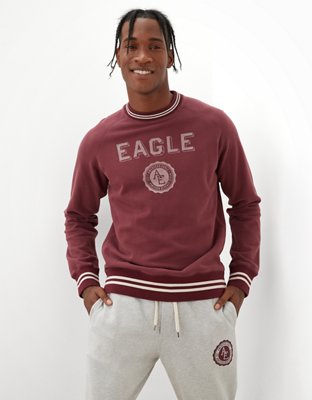 AE Super Soft Fleece Graphic Crew Neck Sweatshirt