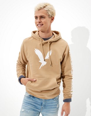 AE Vintage Fleece Graphic Hoodie