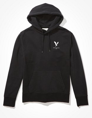 AE Fleece Graphic Hoodie