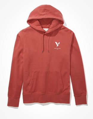 AE Fleece Graphic Hoodie