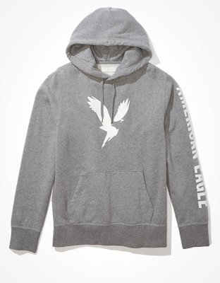 AE Fleece Graphic Hoodie