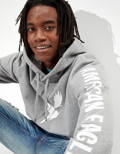 Мужские худи American Eagle AE Vintage Fleece Heathered Graphic