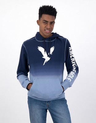 AE Fleece Graphic Hoodie