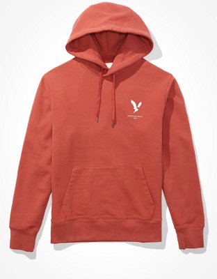 AE Vintage Fleece Graphic Hoodie | American Eagle