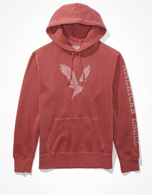 Мужские худи American Eagle AE Super Soft Fleece Eagle Graphic — фото 3