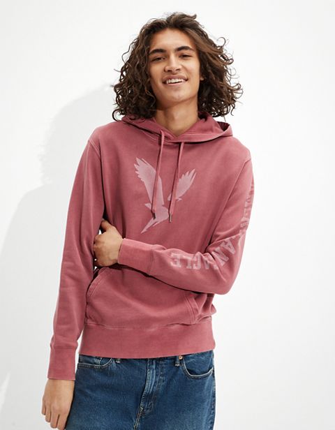 Мужские худи American Eagle AE Super Soft Fleece Eagle Graphic