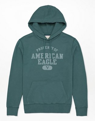 AE Fleece Graphic Hoodie