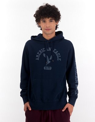 AE Fleece Graphic Hoodie