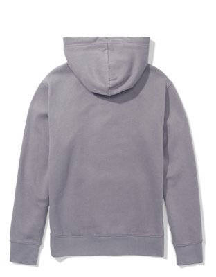 AE Pullover Graphic Hoodie