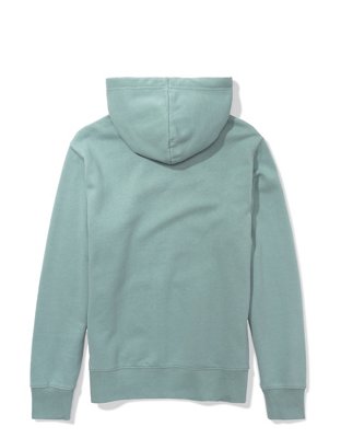 AE Pullover Graphic Hoodie