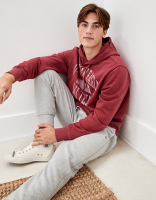 Мужские худи American Eagle AE Super Soft Fleece Ski Team Graphic — фото 4