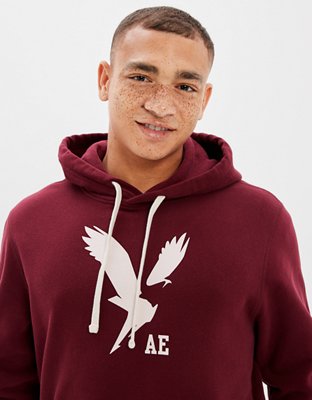 AE Graphic Pullover Hoodie