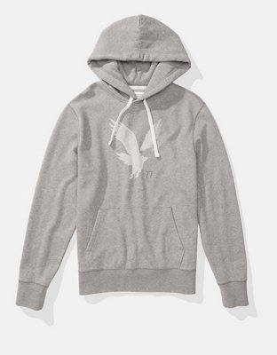 AE Logo Graphic Pullover Hoodie