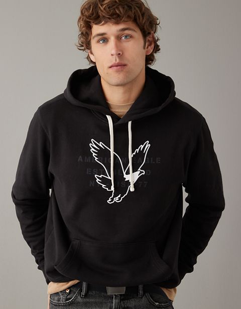 Мужские худи American Eagle AE Logo Graphic Pullover