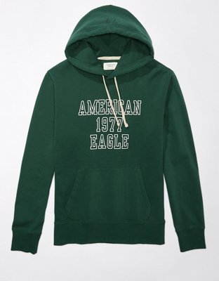 AE Logo Graphic Pullover Hoodie