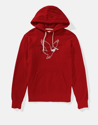 AE Logo Graphic Pullover Hoodie