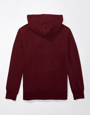 AE Logo Graphic Pullover Hoodie