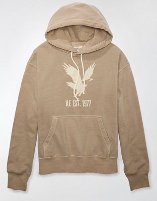 American eagle best sale colorblock hoodie