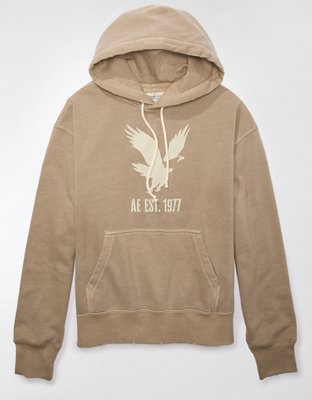 AE Heritage Graphic Pullover Hoodie