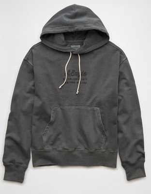 AE Logo Graphic Hoodie