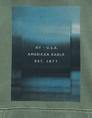 Мужские худи American Eagle AE Logo Graphic — фото 6