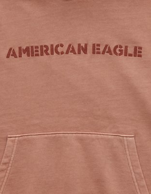 AE Logo Graphic Hoodie