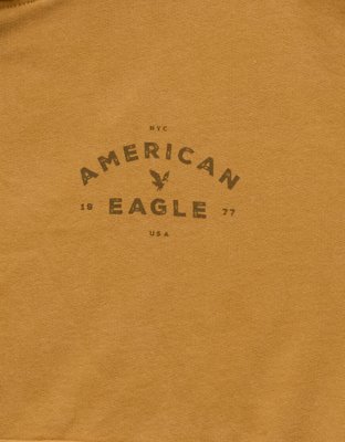 Мужские худи American Eagle AE Oversized Washed Logo Graphic — фото 6