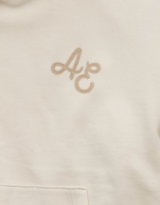 AE Logo Graphic Pullover Hoodie