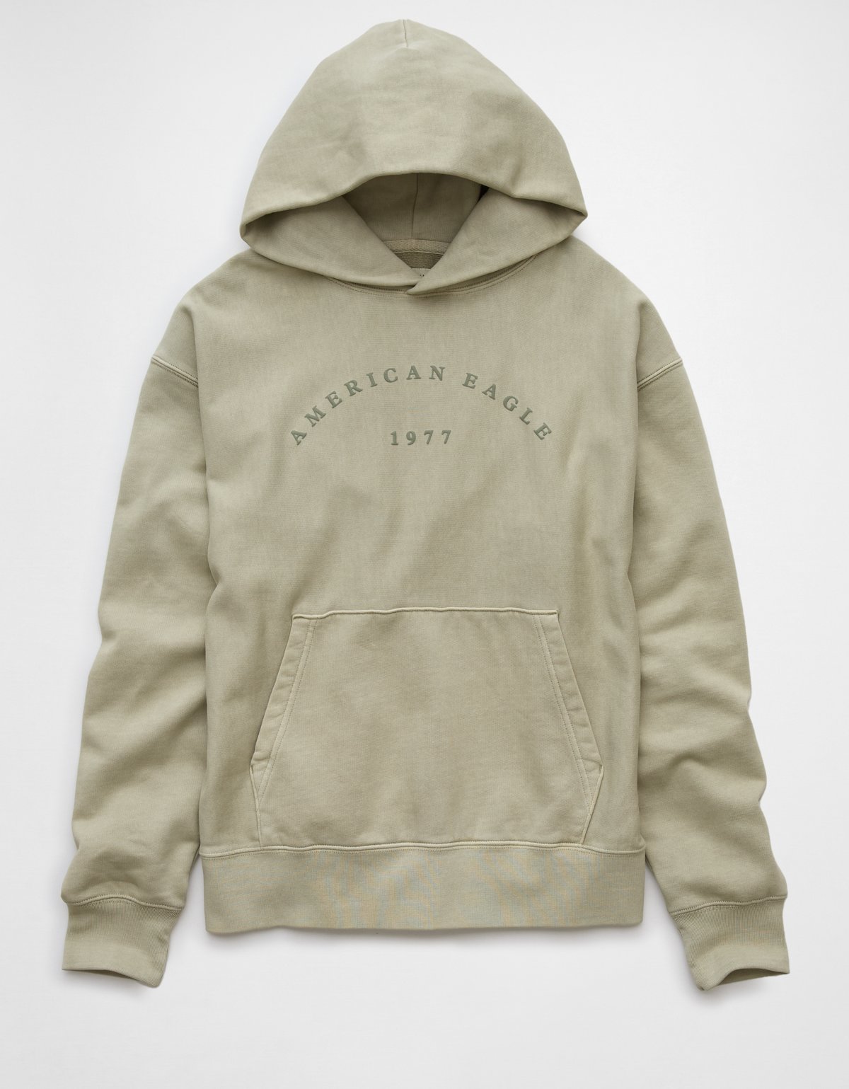AE Laidback Luxe Heavyweight Logo Hoodie - image 3
