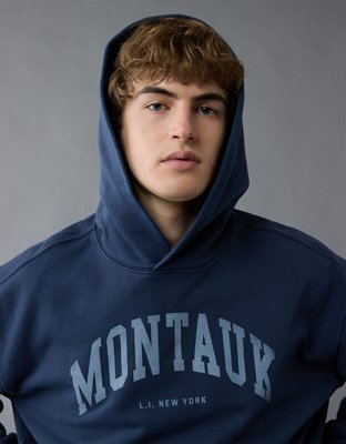 AE Destination Graphic Hoodie | American Eagle