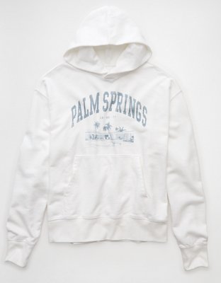 AE Destination Graphic Hoodie