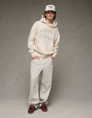 AE Laidback Luxe Heavyweight Destination Graphic Hoodie