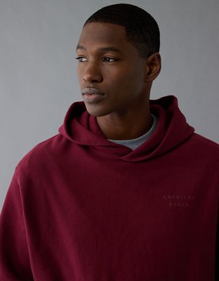 AE Laidback Luxe Heavyweight Graphic Hoodie