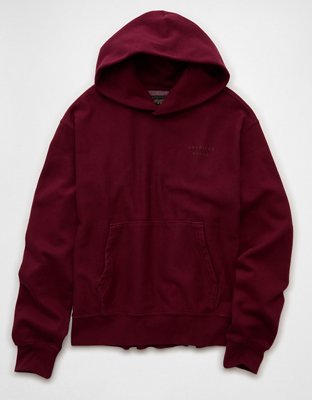 AE Laidback Luxe Heavyweight Graphic Hoodie