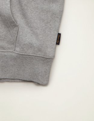 AE Laidback Luxe Heavyweight Hoodie
