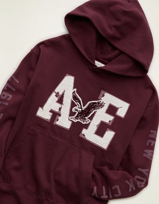 AE Laidback Luxe Graphic Hoodie