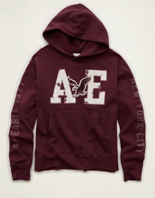 AE Laidback Luxe Graphic Hoodie