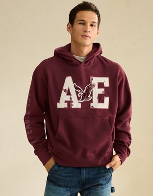 AE Laidback Luxe Graphic Hoodie