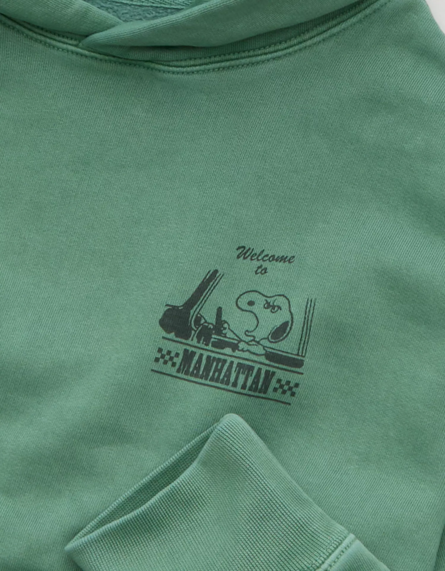 AE Snoopy Graphic Hoodie - thumbnail 6