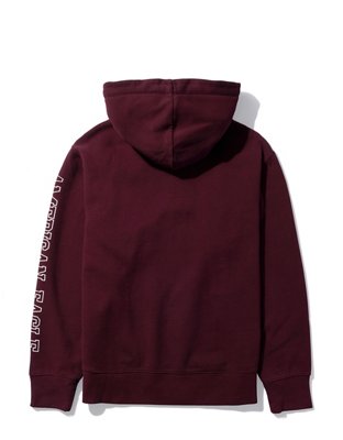 ae fleece graphic zip up hoodie