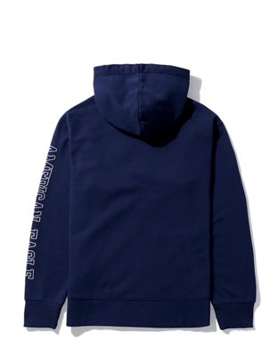 AE Fleece Graphic Zip-Up Hoodie
