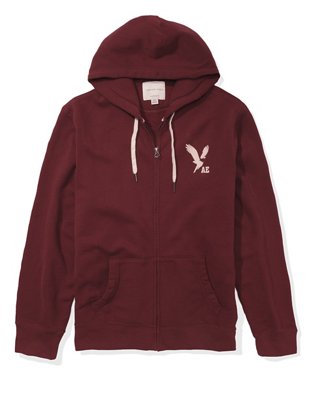 AE Logo Graphic Zip-Up Hoodie