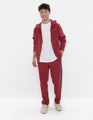 AE Logo Graphic Zip-Up Hoodie