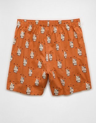 AEO Snoopy Cobweb Boxer Short