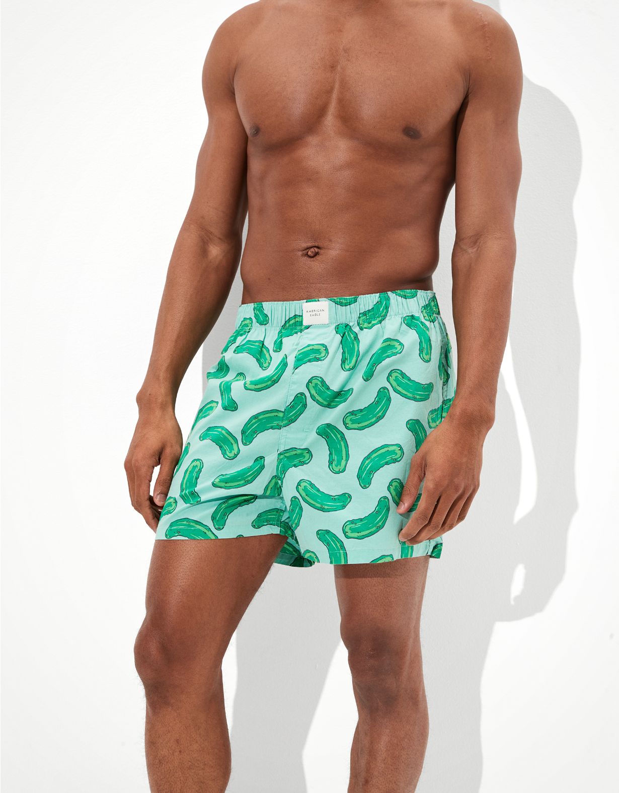 AEO Pickles Stretch Boxer Short