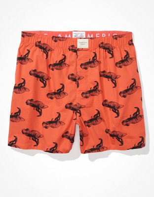 Мужские брюки American Eagle AEO T-Rex Stretch Boxer Short — фото 3