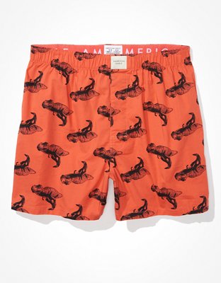 AEO T-Rex Stretch Boxer Short