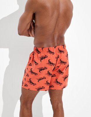 Мужские брюки American Eagle AEO T-Rex Stretch Boxer Short — фото 2
