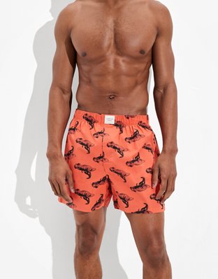 AEO T-Rex Stretch Boxer Short