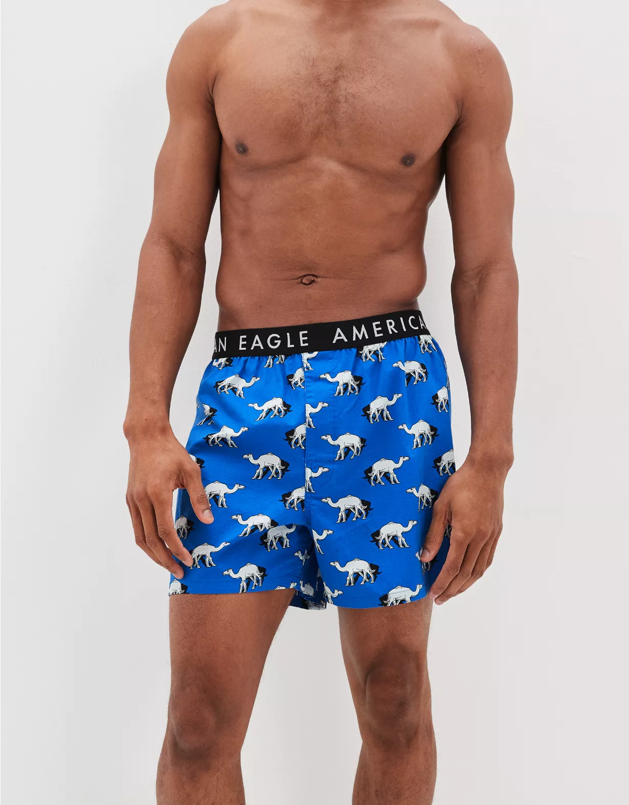 AEO Camels Stretch Boxer Short